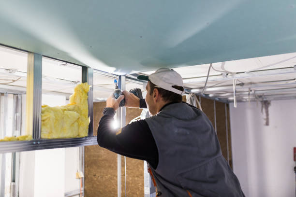 Best Professional Insulation Contractor  in Kissee Mills, MO
