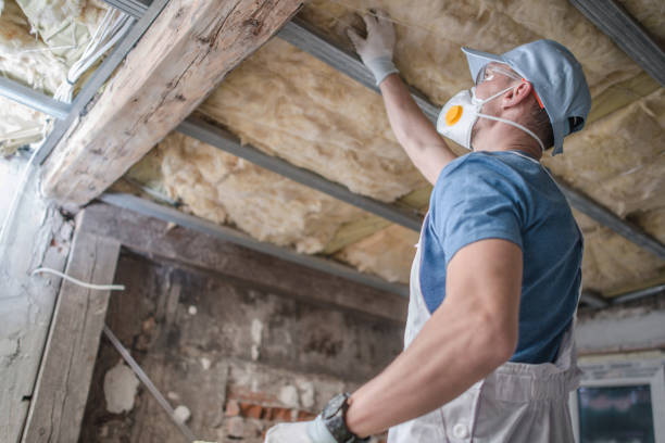 Best Professional Insulation Contractor  in Kissee Mills, MO