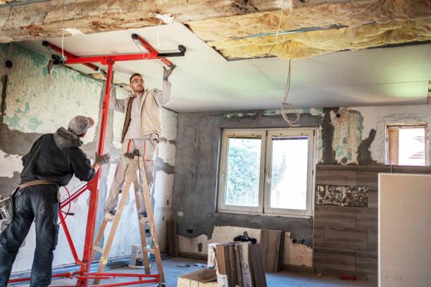 Best Attic Insulation Installation  in Kissee Mills, MO