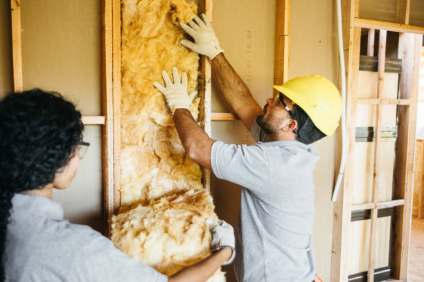 Best Crawl Space Insulation  in Kissee Mills, MO