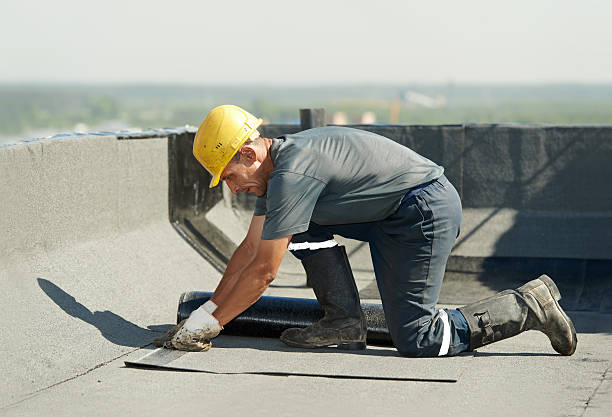 Best Attic Insulation Installation  in Kissee Mills, MO