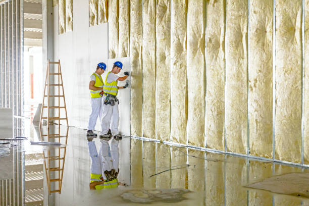 Best Commercial Insulation Contractor  in Kissee Mills, MO
